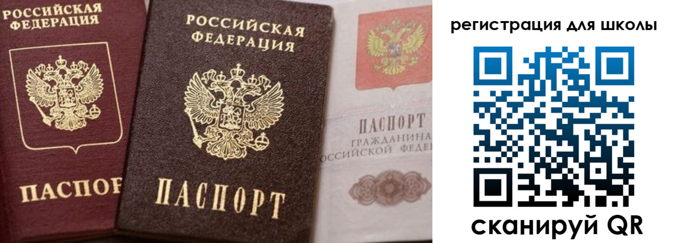 прописка штамп в Холмске